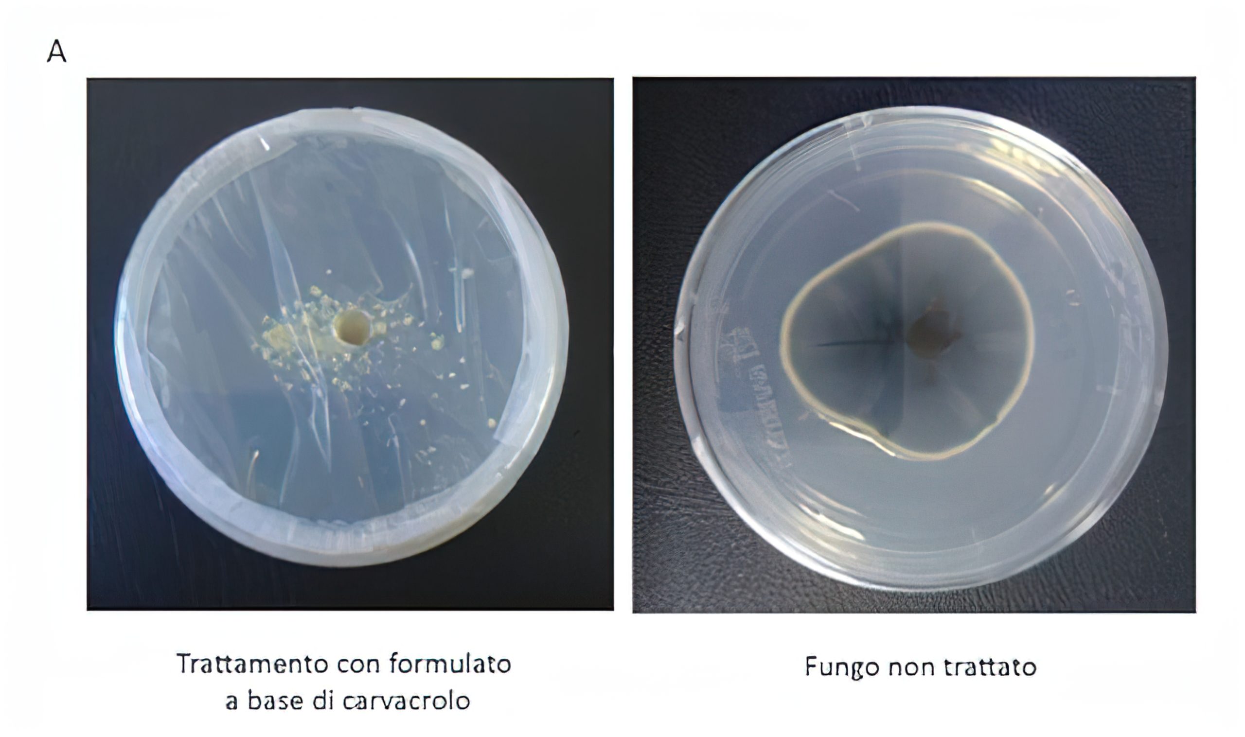 fig4a